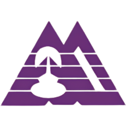 Metallurgy and Materials Science Research Institute Logo